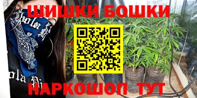 индика Моздок