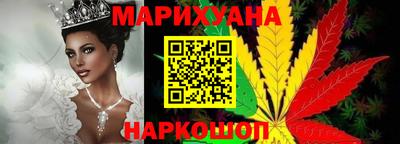 индика Моздок
